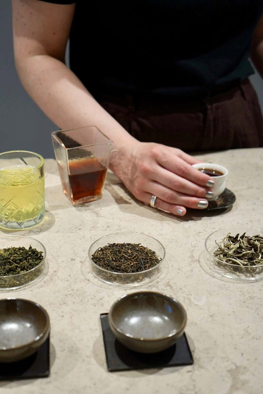 金木水火土 (JĪN MÙ SHUǏ HUǑ TǓ): A Silver Clay & Cold Brew Tea Workshop