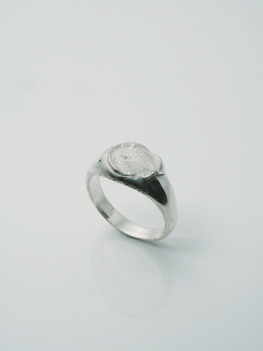 Fingerprint ring DIY kit