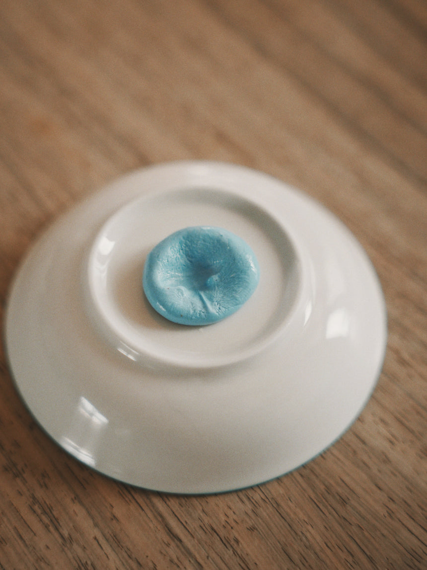 Pet Nose-Print & Paw-Print Pendant DIY kit