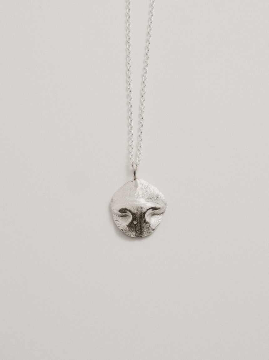 Pet Nose-Print & Paw-Print Pendant DIY kit