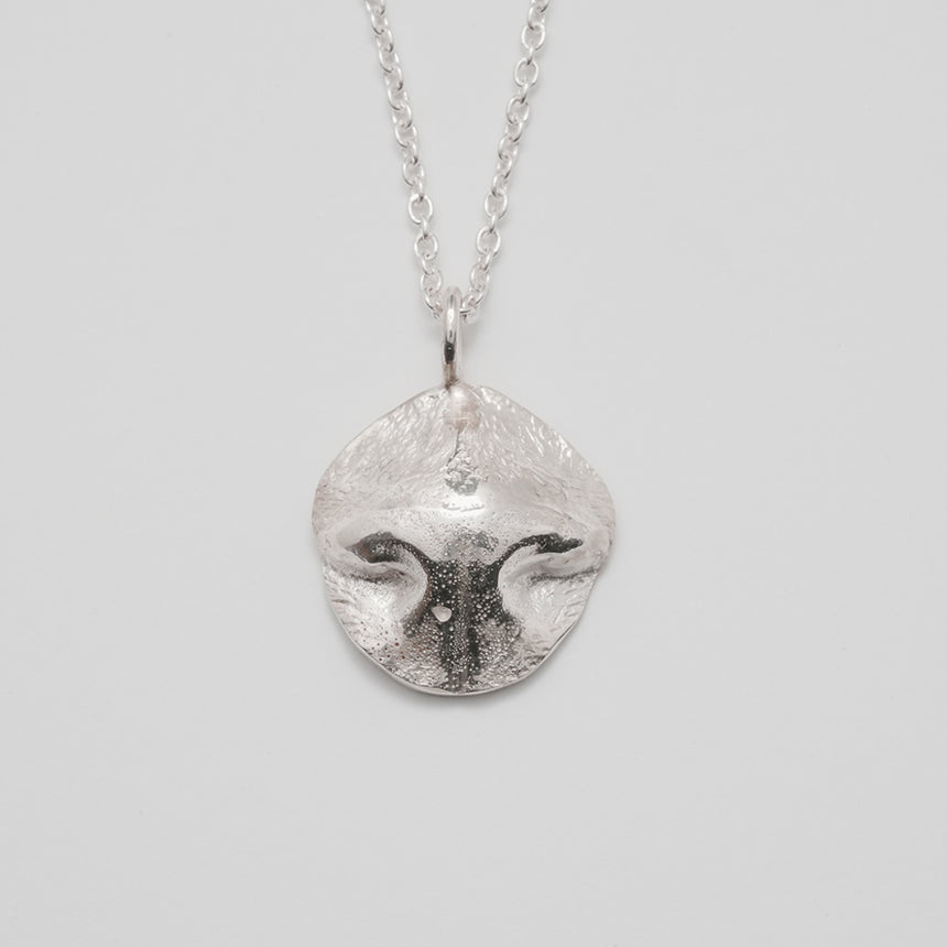 Pet Nose-Print & Paw-Print Pendant DIY kit