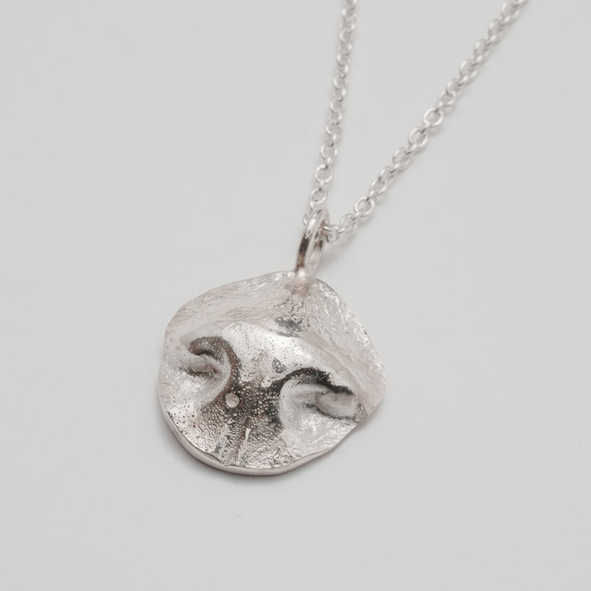 Pet Nose-Print & Paw-Print Pendant DIY kit