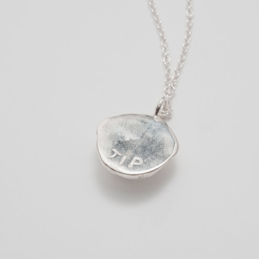 Pet Nose-Print & Paw-Print Pendant DIY kit